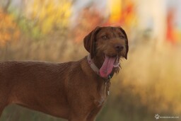 IMG_3094maly